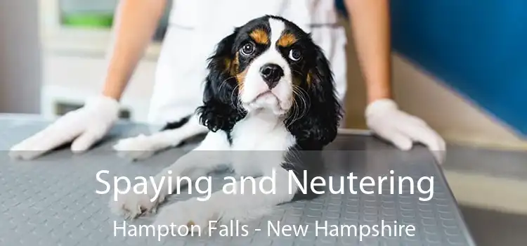 Spaying and Neutering Hampton Falls - New Hampshire