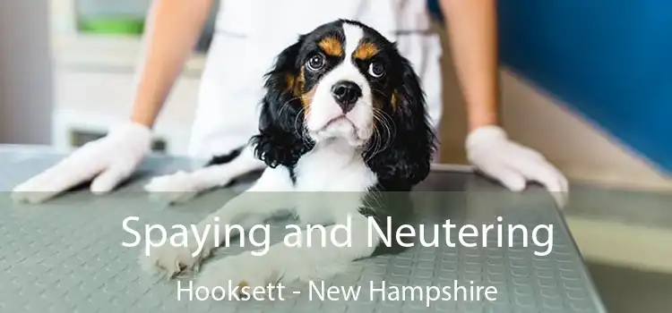 Spaying and Neutering Hooksett - New Hampshire