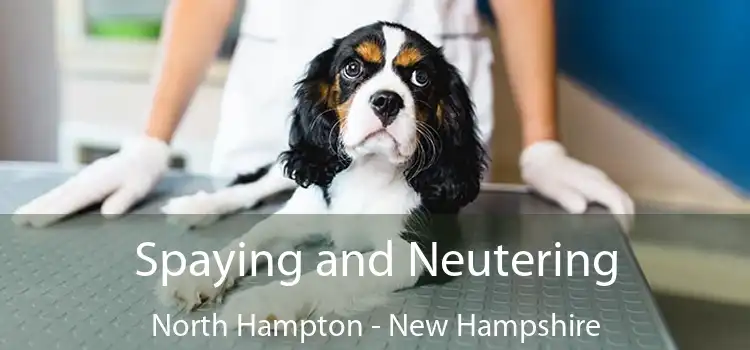 Spaying and Neutering North Hampton - New Hampshire